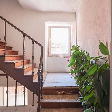 זאדאר Cozy Studio Cvita מראה חיצוני תמונה