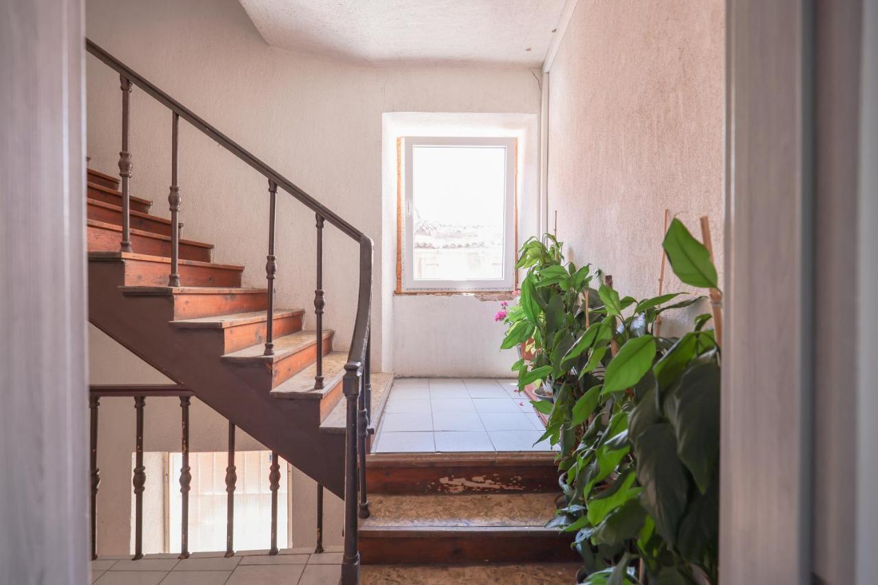 זאדאר Cozy Studio Cvita מראה חיצוני תמונה